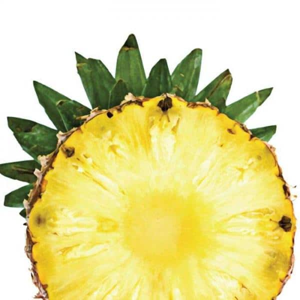 Island Pineapple