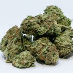 Cbd edibles: a complete beginner’s guide