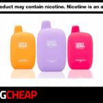 Flum pebble disposable vape