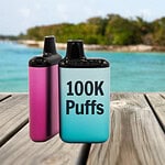 Two large disposable vape devices on a wooden dock with a tropical background, highlighting high puff capacity and modern design.