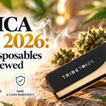 High-quality thca vape pen with cannabis buds and vapor clouds, highlighting lab-tested cannabis concentrates, disposable vape cartridges, and safe, clean ingredients for 2026.